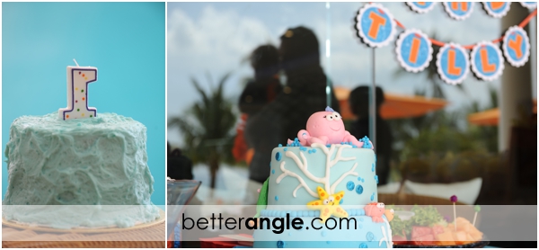 tilly\'s first birthday0117.JPG
